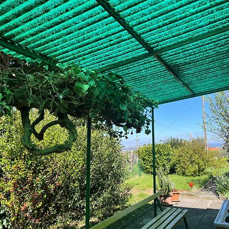 Apartma Korelc Koper Zewnętrze zdjęcie