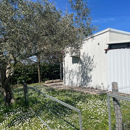 Apartma Korelc Koper Zewnętrze zdjęcie