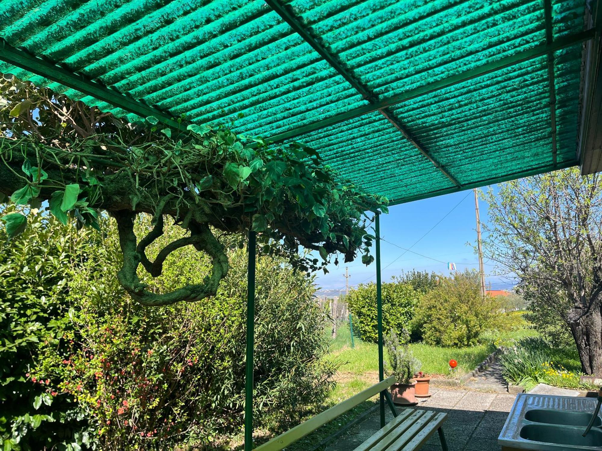 Apartma Korelc Koper Zewnętrze zdjęcie