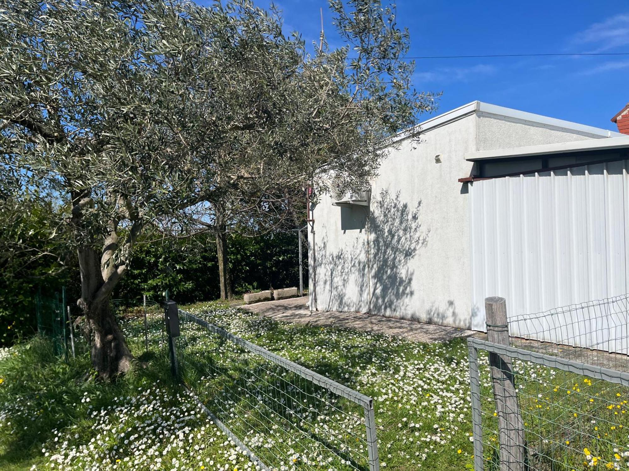Apartma Korelc Koper Zewnętrze zdjęcie